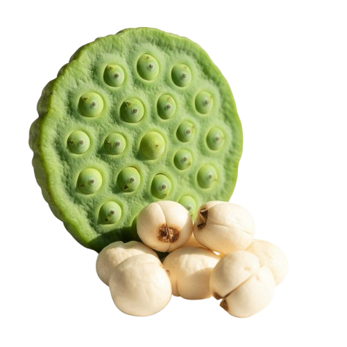 Reset Password Image